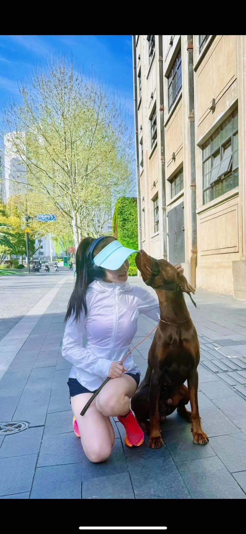 找个良辰吉日带上你的爱犬跑个步